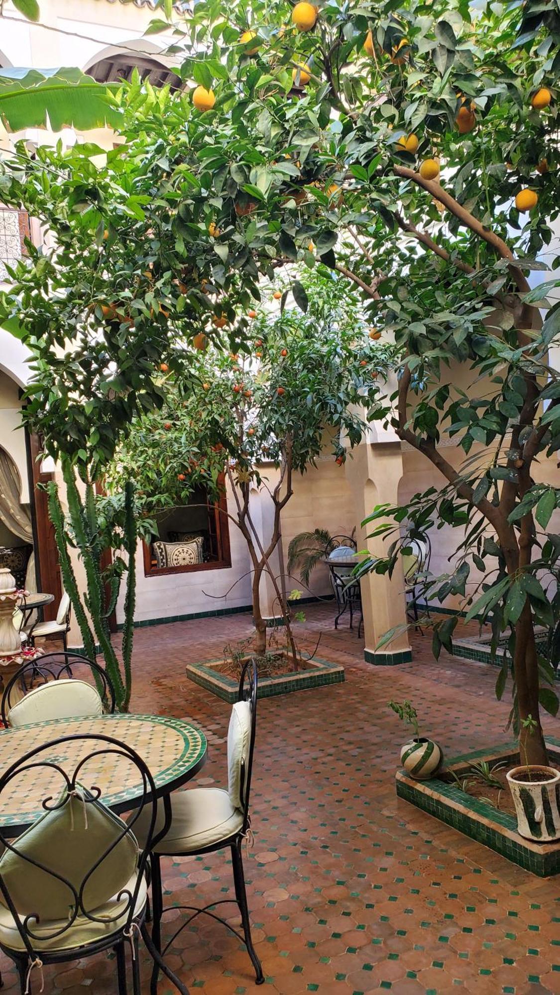 Riad Tidar By Phoenix مراكش المظهر الخارجي الصورة