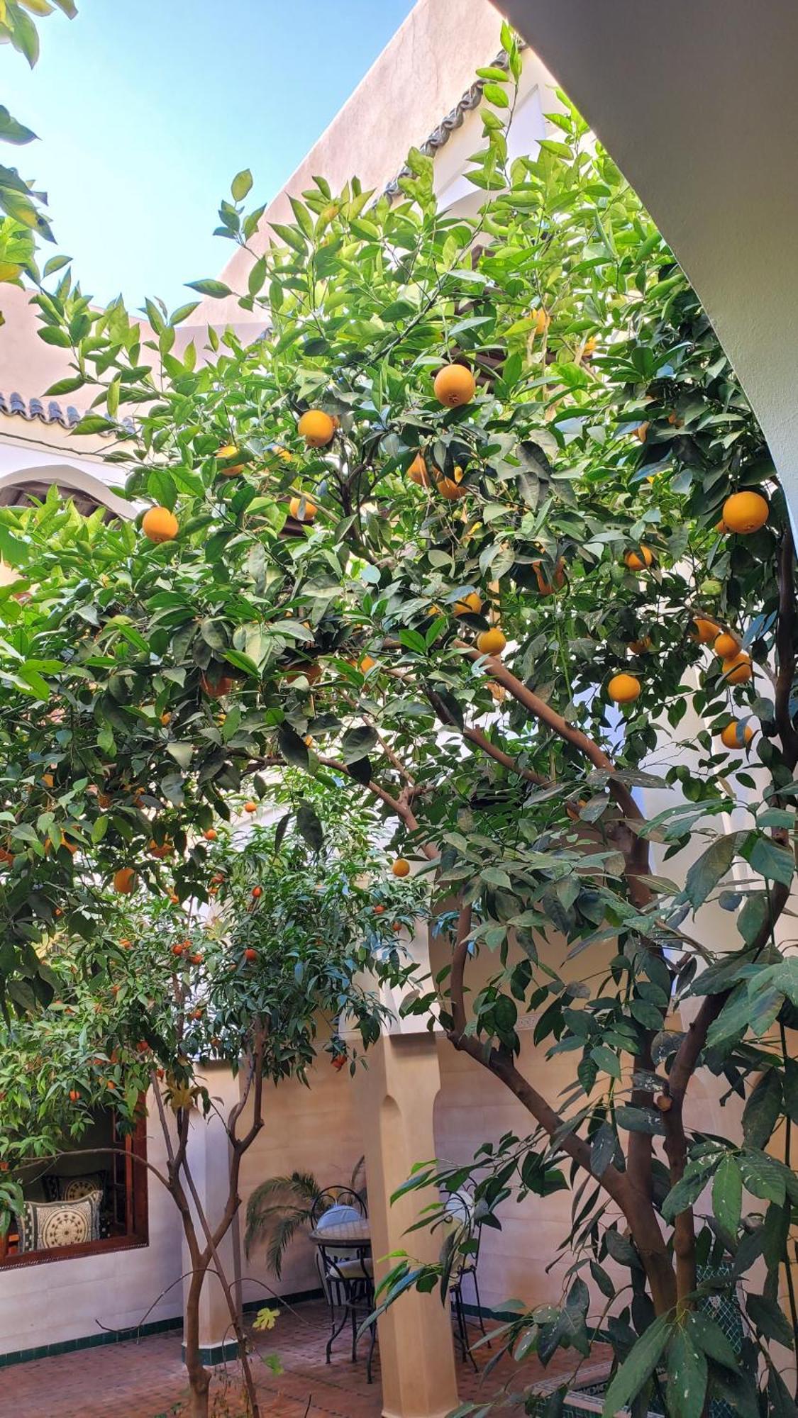 Riad Tidar By Phoenix مراكش المظهر الخارجي الصورة