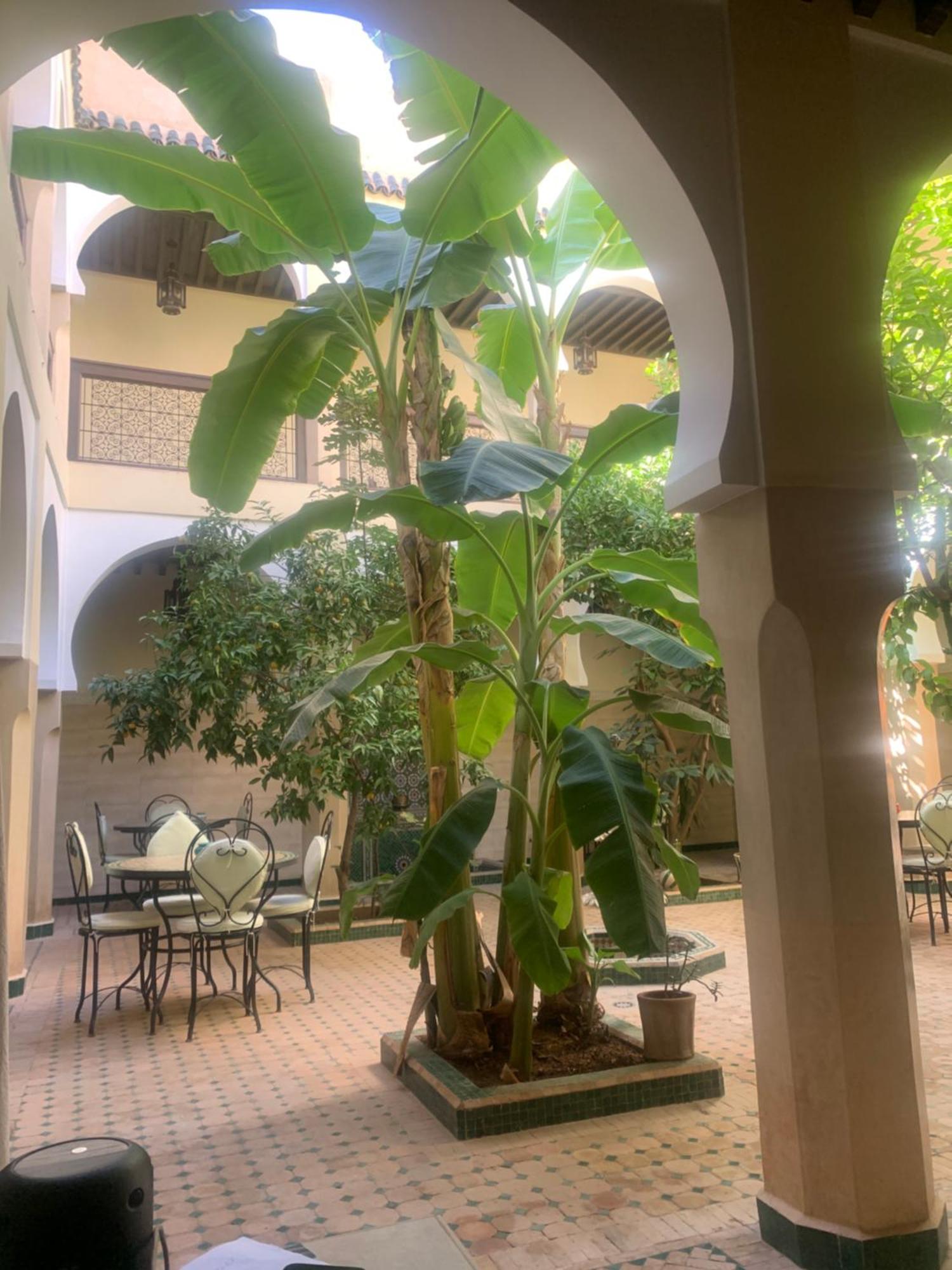 Riad Tidar By Phoenix مراكش المظهر الخارجي الصورة