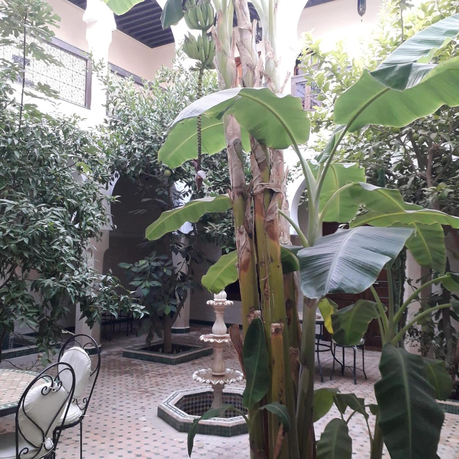 Riad Tidar By Phoenix مراكش المظهر الخارجي الصورة